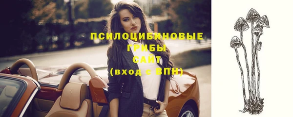 прущие грибы Верхнеуральск