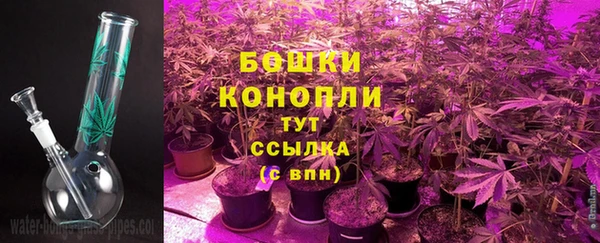 прущие грибы Верхнеуральск