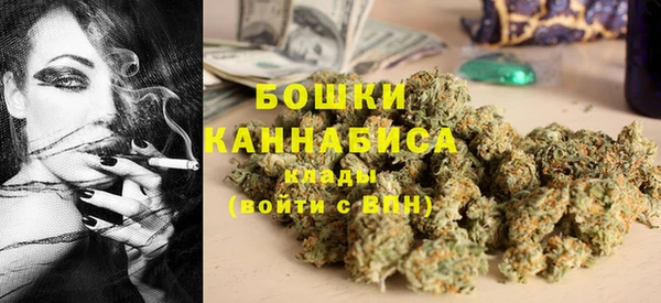 прущие грибы Верхнеуральск