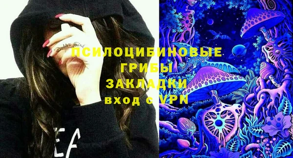 дживик Володарск
