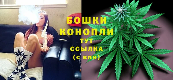 дживик Володарск